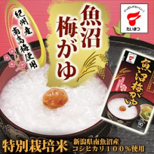 魚沼梅がゆ250ｇ(たいまつ食品) レトルト おかゆ 南高梅 和歌山県産 梅干し 低カロリー  ダイエ