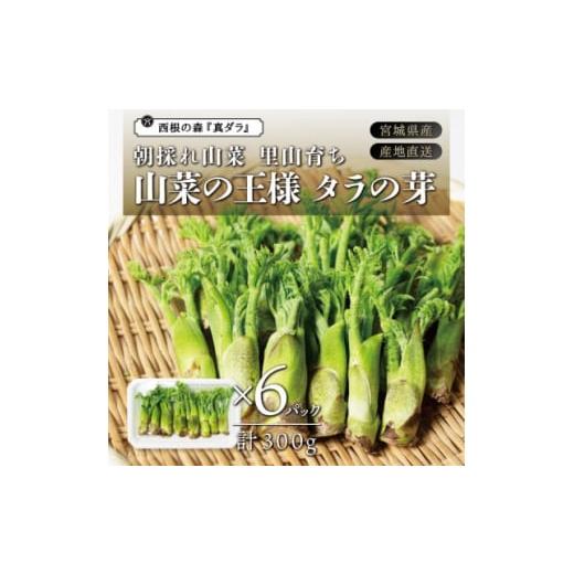 ふるさと納税 宮城県 朝採れ山菜 タラの芽 300g