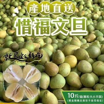 【初品果】☆產地直送NG惜福文旦10斤(大小粒數不限) -廠商直送
