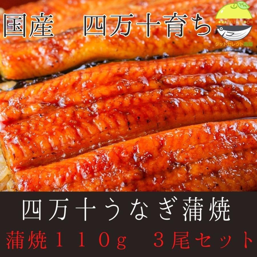 四万十うなぎ 蒲焼 国産 高級 110g 3尾セット ウナギ 贈り物 グルメ ギフト