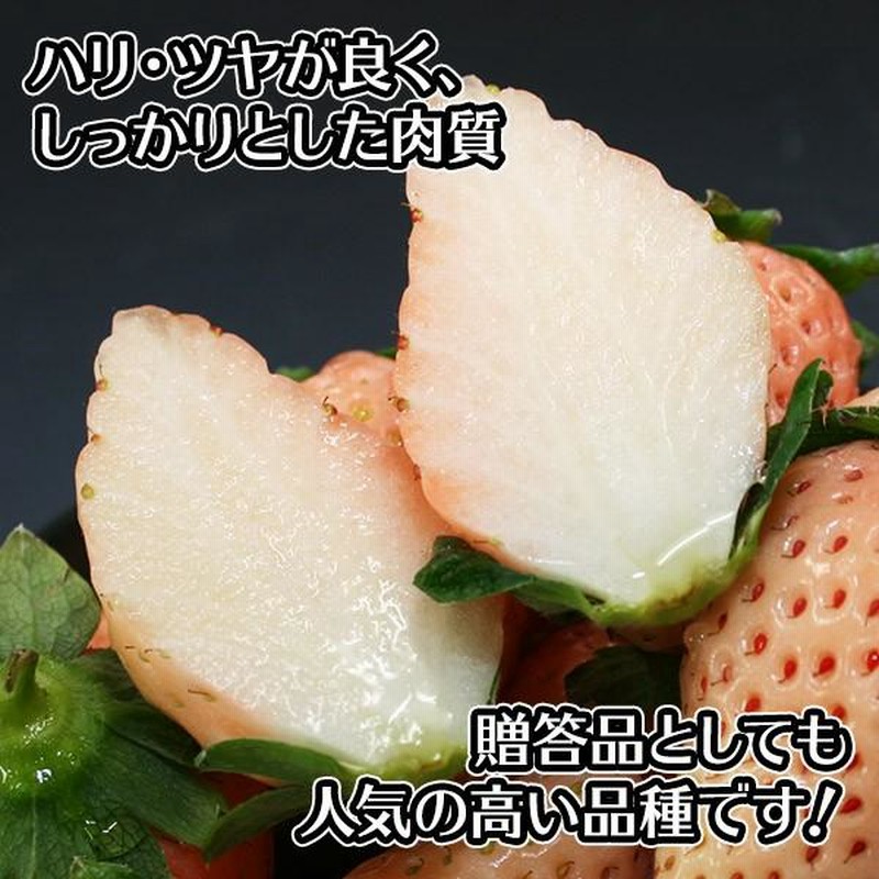 白いちご 淡雪 白イチゴ 400g お取り寄せ グルメ 白いイチゴ 白