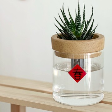 抓錢滿滿好運來【Green Pandora】水耕盆栽-環保木紋款(公仔隨機） 好友 生日禮 療癒 招財 好運 植物 舒心 獻上日常驚喜