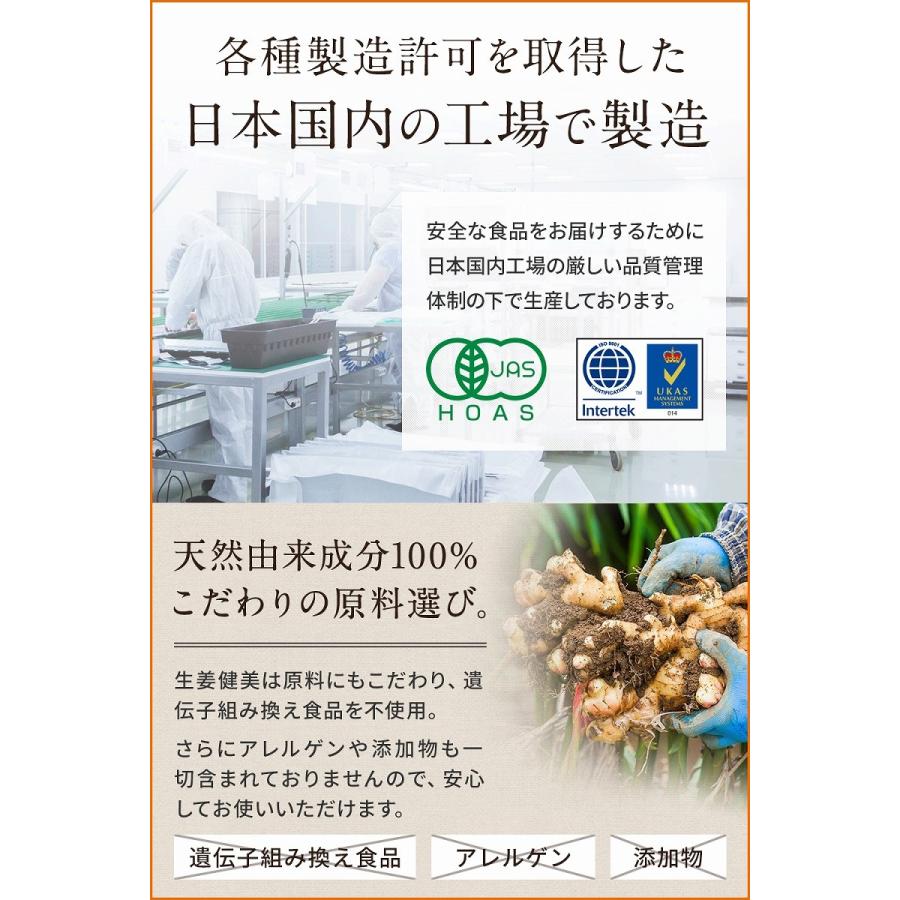 高知県産 生生姜100%使用 生姜パウダー 非遺伝子組み換え アレルゲンゼロ 添加物ゼロ 生姜健美 100g ショウガオール