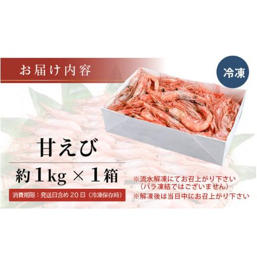 ふるさと納税 福井県 坂井市 甘えび 約1kg × 1箱  ぷりぷり食感にとろける甘さ！越前三国港産【甘海老 あまえび アマエビ えび 海老 有頭 刺身 生食 海鮮 海…