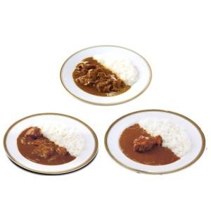 ふるさと納税 工場直売「いいづかカレー」3種のカレー15食セット 福岡県飯塚市