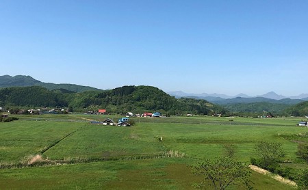 北海道産 豚肉 しゃぶしゃぶ 3種 計 1.25kg (250g×5パック) ロース バラ 肩ロース