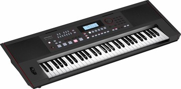 Roland E-X50 電子琴 61鍵 編曲鍵盤 電鋼琴 自動伴奏 麥克風彈唱