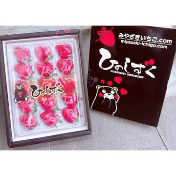 日本 熊本 小糖蜜草莓 15玉禮盒｜日本草莓禮盒
