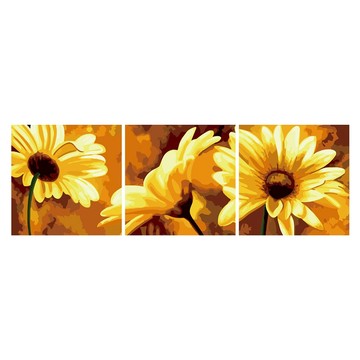 ArtLife 藝術生活 數字油畫DIY 3副 三拼畫 93059 50 x 50cm  非洲菊  1組