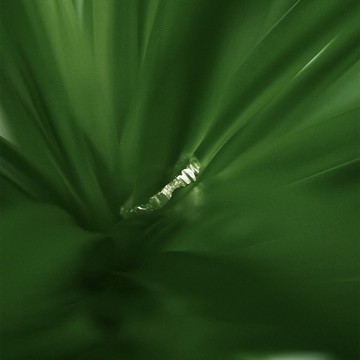 自然而然 | 925純銀戒指