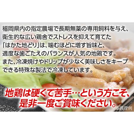 ふるさと納税 福岡県産地鶏「はかた地どり」もも肉(約1kg) 福岡県田川市