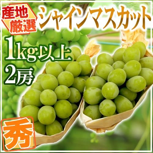 ”シャインマスカット” 秀品 2房 約1kg 産地厳選 送料無料