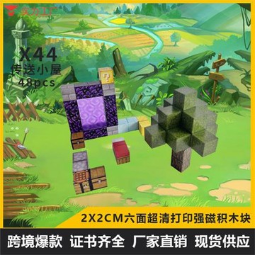 我的磁吸世界迷你磁力方塊磁鐵積木玩具個性拼裝兒童益智禮物玩具
