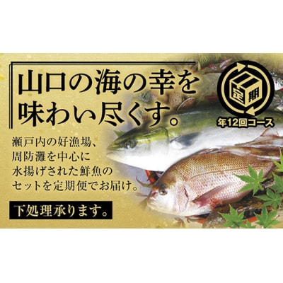 山口県漁協大海の海の幸セット(年12回コース) A-003