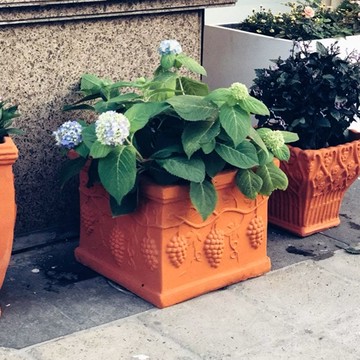 公司貨 免運 包郵紅陶花盆大號紅陶器陽臺種菜包郵粗陶盆園藝用品方盆紅陶花盆 快速發貨