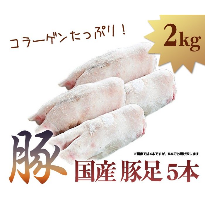 国産 豚足 5本 1本約400g 合計約2kg とんそく