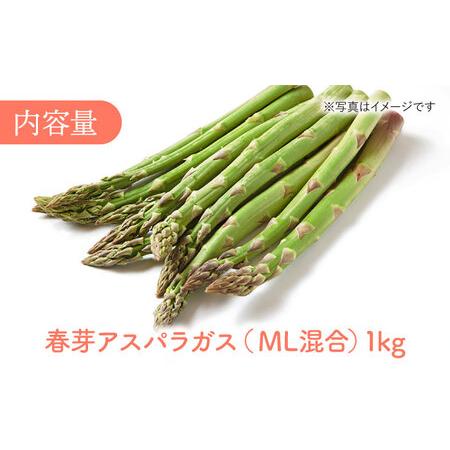 ふるさと納税 ＜先行予約＞春芽アスパラガス 1kg (ML混合)    東彼杵町   前平農園 [BCG008] 長崎県東彼杵町