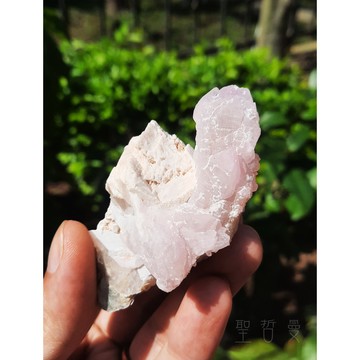 💗巴西精品天然粉晶簇0827-3號 玫瑰石英/Rose Quartz
