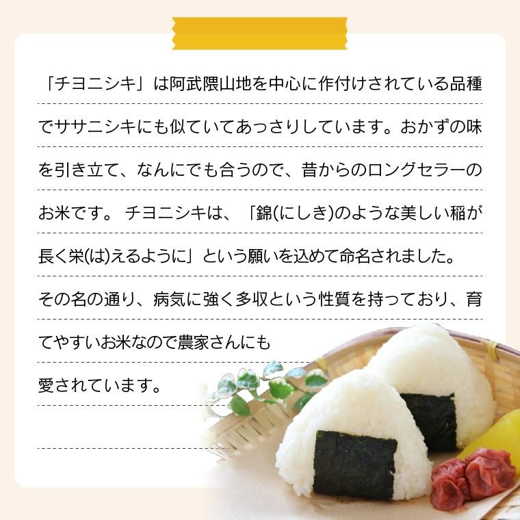 米 お米 10kg 無洗米 福島県産 チヨニシキ 送料無料 精米 令和５年産