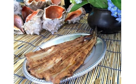 秘伝タレ！瀬戸内の新鮮焼き穴子　アナゴ（S）3人前 広島 三原 鮮魚細井