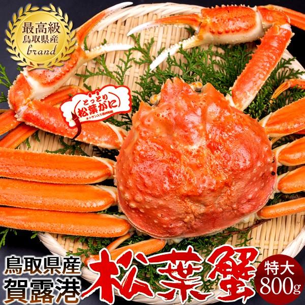 松葉ガニ タグ付き 松葉蟹［特大］800g ゆで蟹 ボイルまつばがに 新物 鳥取県産 浜茹で マツバガニ 日本海ズワイガニ［お歳暮 2023 ギフト 御歳暮］