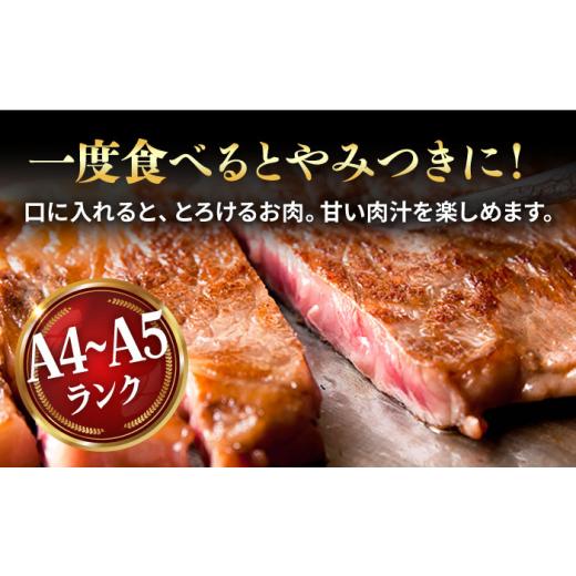 ふるさと納税 長崎県 五島市 やみつき 五島牛 サーロインステーキ 750g（250g×3枚） A4 A5 国産 五島市／肉のマルヒサ [PCV054]