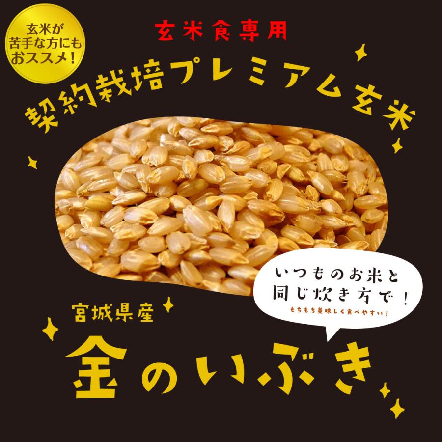 玄米 10kg 米 お米 金のいぶき 玄米 宮城県 送料無料 おこめ 米10kg 玄米10kg 5kg×2 10キロ 美味しい 銘柄 単一原料米 令和5年産 宅配 安い 格安