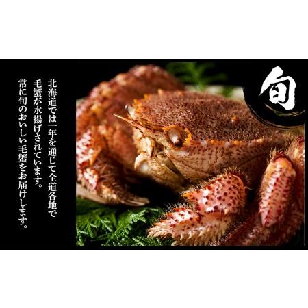 ふるさと納税 毛蟹 ボイル済み 冷凍 1尾セット 約450g 北海道白老町