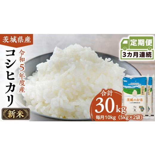 ふるさと納税 茨城県 筑西市  茨城県産 コシヒカリ 10kg 5kg × 2袋 米 お米 コメ 白米 こしひ…