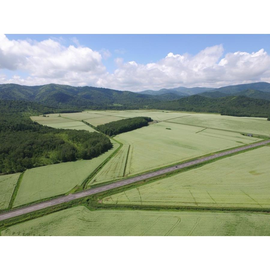 年越しそば3人前そばつゆセット×1　産地直送！手打ち そば！年越しそば！幌加内そば