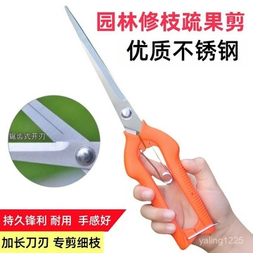 臺灣有貨⚡專業果蔬剪稀果剪葡萄疏花剪家用修枝剪柑橘子花椒埰摘摘果剪刀 OWLD