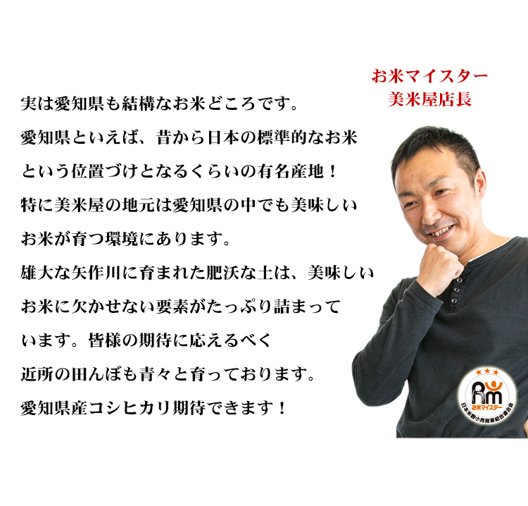 新米 米 無洗米 5kg 送料無料 コシヒカリ 愛知県産 令和5年産 コシヒカリ お米 5キロ 送料無料