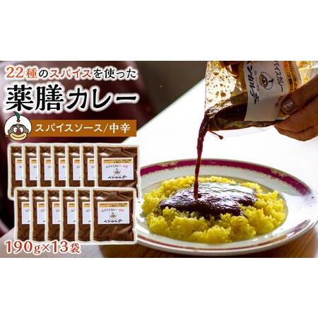 ふるさと納税 M スパイス薬膳カレー！（スパイスソース・中辛）13袋 香川県坂出市