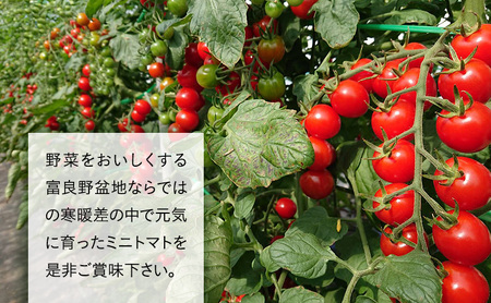 北海道 富良野市産 完熟ミニトマト（甘っこ）約3kg カラートマト付 トマト 甘い 野菜 新鮮 数量限定 先着順