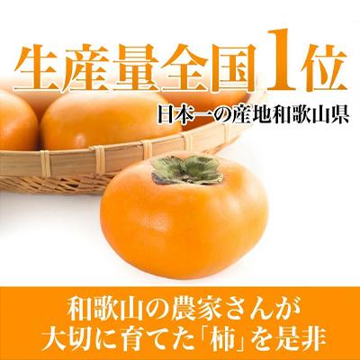 ふるさと納税 橋本市 柿カテゴリ上位獲得!　JA紀北かわかみのたねなし柿　7.5kg　L又は2L