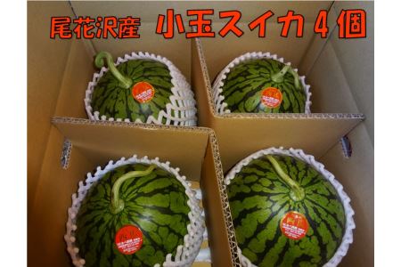 先行予約 スイカ すいか 尾花沢産小玉スイカ 約2〜4kg×4玉 7月中旬～8月上旬頃発送 尾花沢 すいか スイカ 小玉すいか 令和6年産 2024年産 観光物産 kb-sukxx4-7b