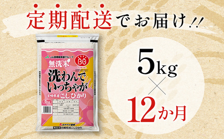 宮崎県産コシヒカリ無洗米　5kg×12回＜9-5＞