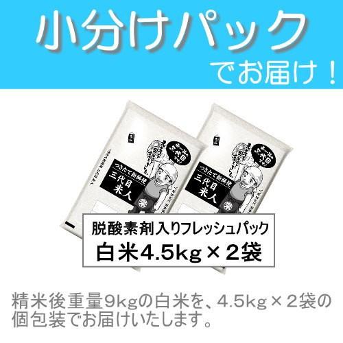 米  ミルキークイーン  玄米 白米(4.5kg×2袋) 小分け 令和4年産 茨城県 地域限定 送料無料