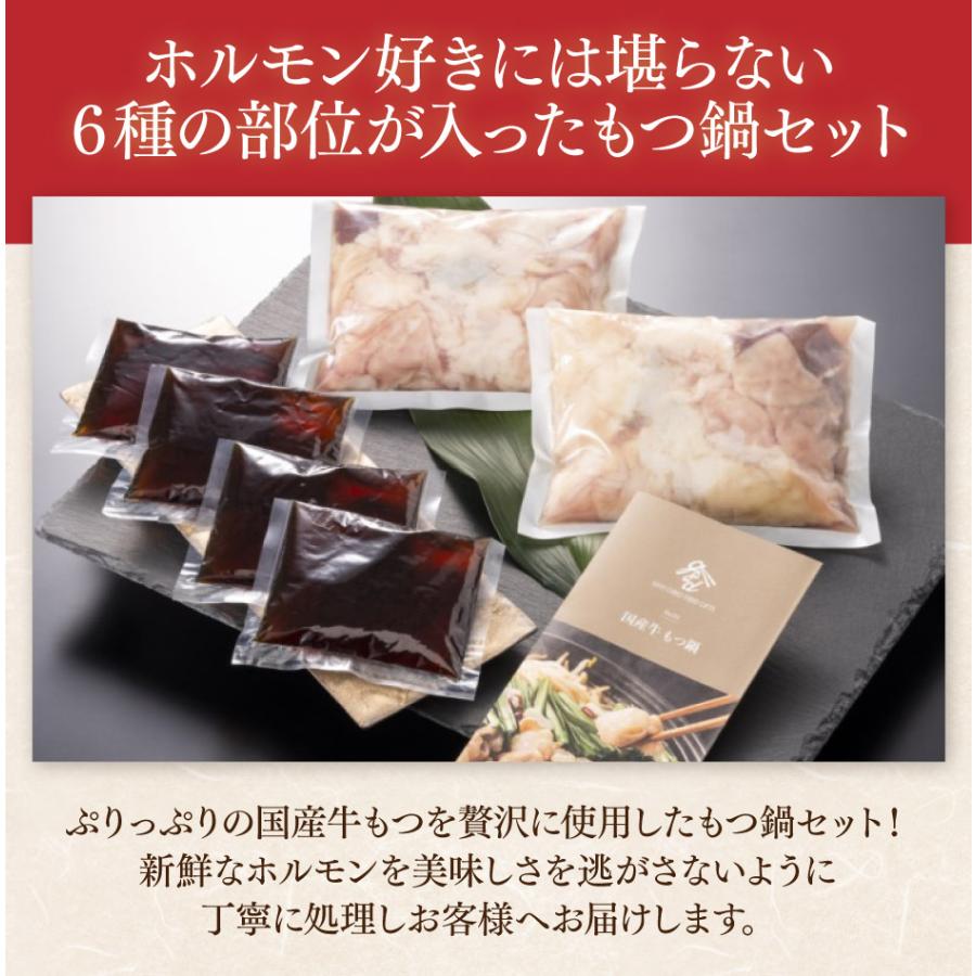 国産牛もつ鍋セット 600g 石井食品