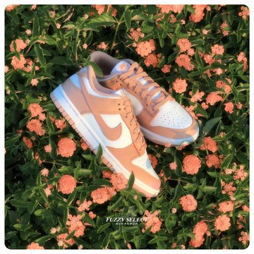 【逢甲FUZZY】W Nike Dunk Low Rose Whisper 玫瑰粉 運動鞋 DD1503-118