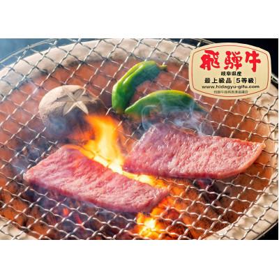 ふるさと納税 山県市 飛騨牛ロース焼肉用 約300g(5等級 冷凍)