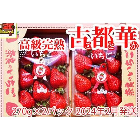 ふるさと納税 いちご好きのためのいちご 奈良県ブランドいちご 「古都華（ことか）」2024年2月発送   奈良県広陵町の大.. 奈良県広陵町