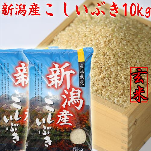 新米 玄米 10kg 令和5年 新潟県 こしいぶき 玄米 10kg 5kg×2袋 米 玄米10キロ 農家直送 美味しい玄米 新潟県産米 安い 新潟県産 お米 10キロ