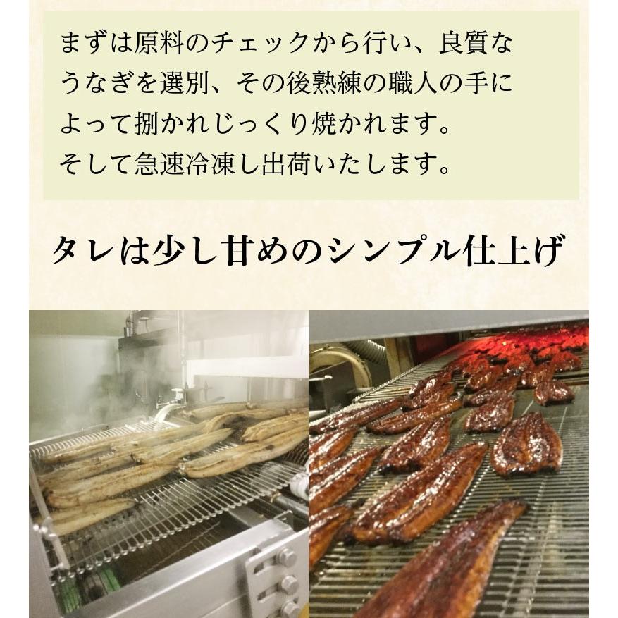 ポイント5倍 母の日 プレゼント グルメ うなぎ  鹿児島産 ブランド鰻 カット蒲焼き10食  ギフトBOX 魚介類 クール