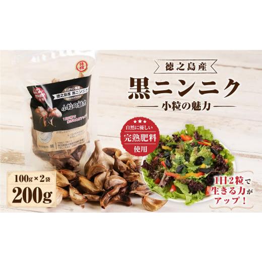 ふるさと納税 鹿児島県 天城町 徳之島産 黒ニンニク 200g (100g×2袋) 小粒の魅力 小粒 にんにく 薬味 完熟肥料 国産 BE-2-N