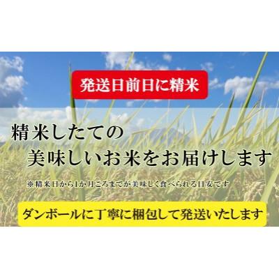 ふるさと納税 盛岡市 お米マイスター推奨10kg