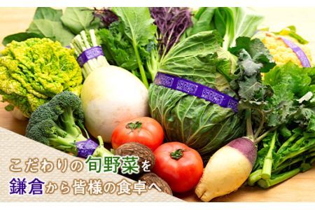 四季を味わえる「鎌倉いちばブランド」新鮮お野菜詰め合わせセット