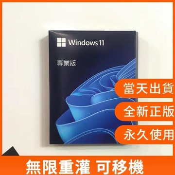 Microsoft 微軟 win11專業版USB Win11 Pro 繁體 windows11專業版WIN10專