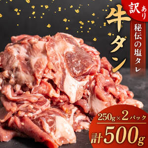 訳あり 牛タン 味付け 塩ダレ 500g 250g × 2パック 牛タン バーベキュー 牛タン BBQ 牛タン 焼肉 牛タン タン 塩 牛タン 焼き肉 牛タン 牛 肉 牛タン 小分け 牛タン 冷凍 牛タン ワケアリ 牛タン 高知県 牛タン 須崎市 牛タン