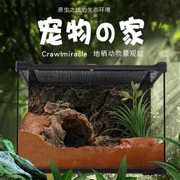 免運 帶造景爬寵箱生態爬蟲半水龜黃緣陸gui守宮蜥蜴鬃獅造景缸 特價出 可開發票